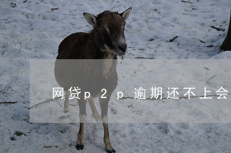 网贷p2p逾期还不上会怎么样 网贷p2p逾期还不上会怎么样