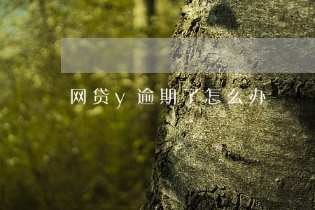 网贷y逾期了怎么办 网贷y逾期了怎么办
