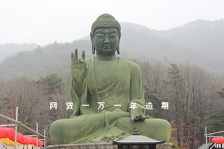网贷一万一年逾期 网贷一万一年逾期