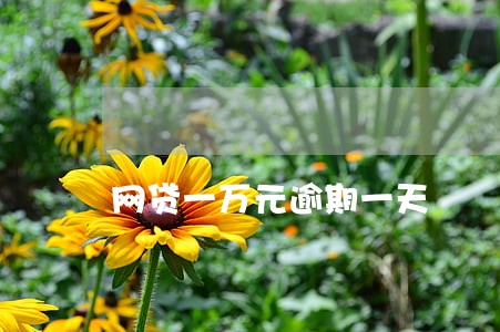 网贷一万元逾期一天 网贷一万元逾期一天