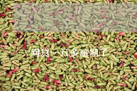 网贷一万多逾期了 网贷一万多逾期了