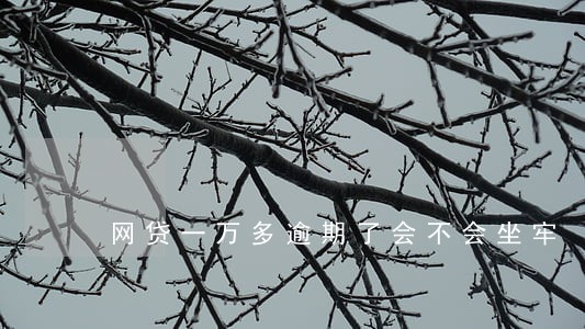 网贷一万多逾期了会不会坐牢
