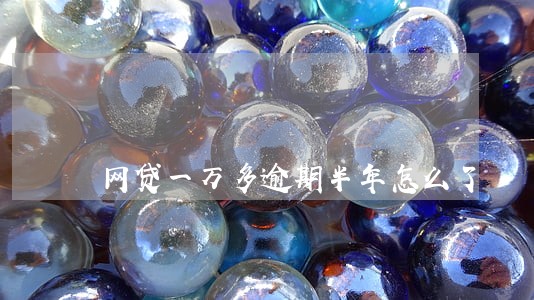 网贷一万多逾期半年怎么了 网贷一万多逾期半年怎么了