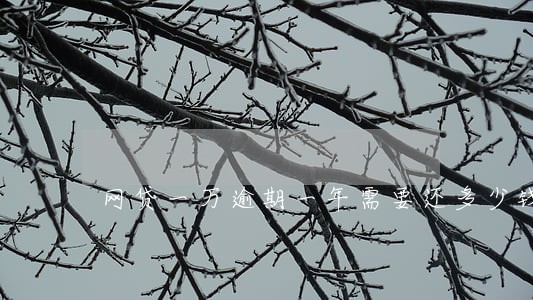 网贷一万逾期一年需要还多少钱