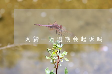 网贷一万逾期会起诉吗 网贷一万逾期会起诉吗