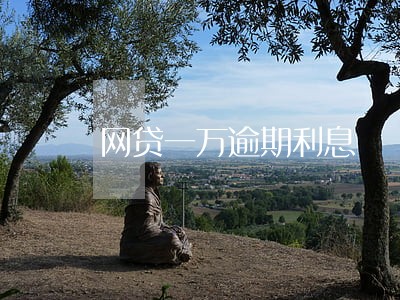 网贷一万逾期利息