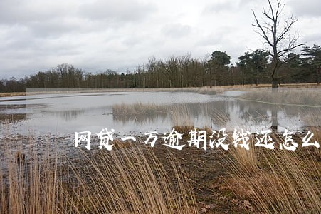 网贷一万逾期没钱还怎么办 网贷一万逾期没钱还怎么办