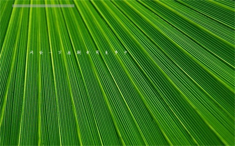 网贷一万逾期费用是多少 网贷一万逾期费用是多少