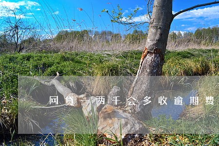 网贷一两千会多收逾期费用吗 网贷一两千会多收逾期费用吗