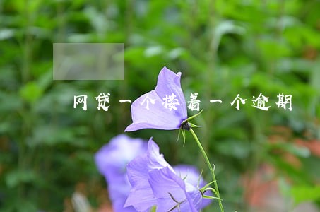 网贷一个接着一个逾期 网贷一个接着一个逾期