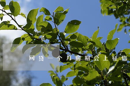网贷一个月逾期会上征信 网贷一个月逾期会上征信