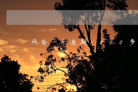 网贷一个逾期1000多天 网贷一个逾期1000多天