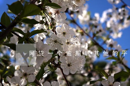 网贷一个逾期后其他的平台 网贷一个逾期后其他的平台