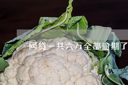 网贷一共六万全部逾期了怎么办 网贷一共六万全部逾期了怎么办