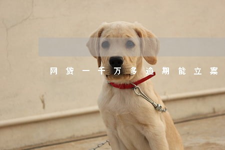 网贷一千万多逾期能立案吗 网贷一千万多逾期能立案吗