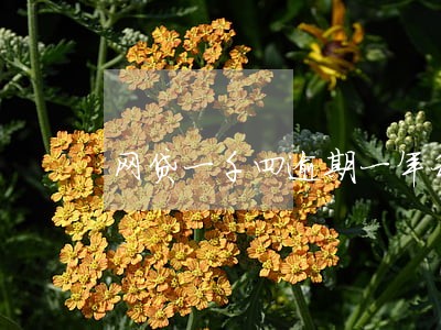 网贷一千四逾期一年利息六百 网贷一千四逾期一年利息六百