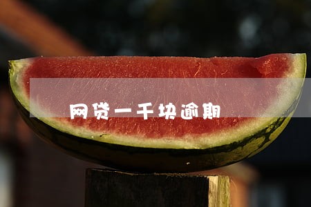 网贷一千块逾期 网贷一千块逾期
