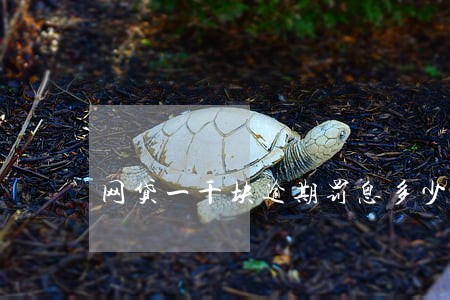 网贷一千块逾期罚息多少 网贷一千块逾期罚息多少
