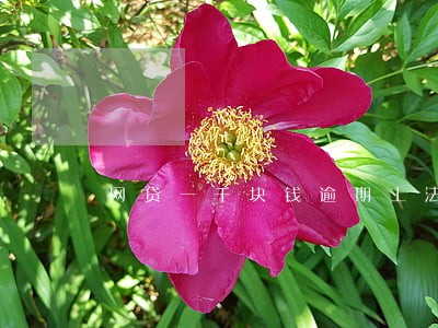 网贷一千块钱逾期上法庭吗 网贷一千块钱逾期上法庭吗