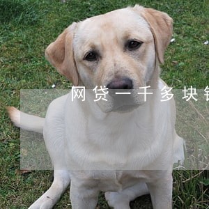 网贷一千多块钱逾期 网贷一千多块钱逾期