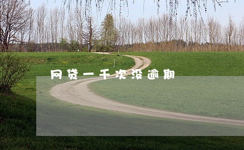 网贷一千次没逾期 网贷一千次没逾期