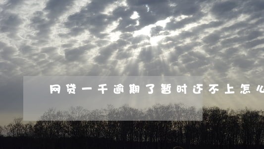 网贷一千逾期了暂时还不上怎么办 网贷一千逾期了暂时还不上怎么办