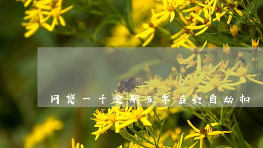 网贷一千逾期五年后会自动扣 网贷一千逾期五年后会自动扣