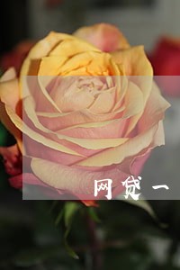 网贷一半逾期多久上征信 网贷一半逾期多久上征信