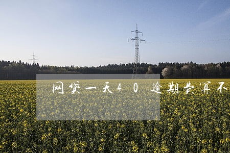网贷一天40逾期费算不算高