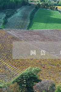 网贷一年前有逾期会怎样 网贷一年前有逾期会怎样