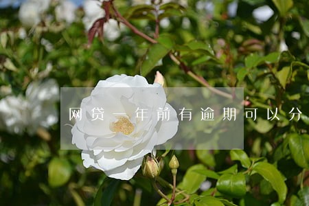 网贷一年前有逾期可以分期车吗 网贷一年前有逾期可以分期车吗