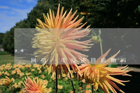 网贷一年没还算逾期吗 网贷一年没还算逾期吗