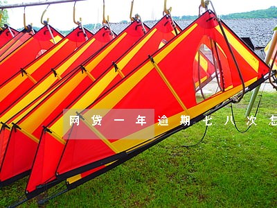 网贷一年逾期七八次怎么办 网贷一年逾期七八次怎么办