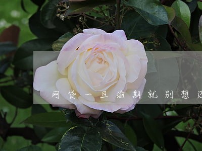 网贷一旦逾期就别想还清了 网贷一旦逾期就别想还清了