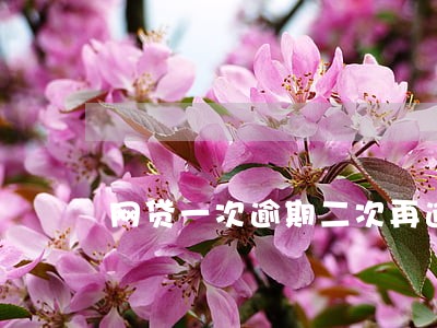网贷一次逾期二次再逾期会怎么样 网贷一次逾期二次再逾期会怎么样