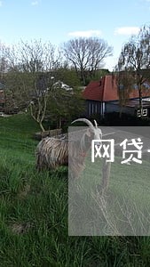 网贷一次逾期多久消除 网贷一次逾期多久消除