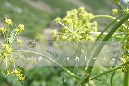 网贷一次逾期影响征信吗 网贷一次逾期影响征信吗