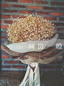 网贷一般逾期会催收多久 网贷一般逾期会催收多久