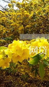 网贷一般逾期几个月 网贷一般逾期几个月