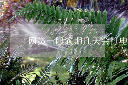 网贷一般逾期几天会打电话 网贷一般逾期几天会打电话