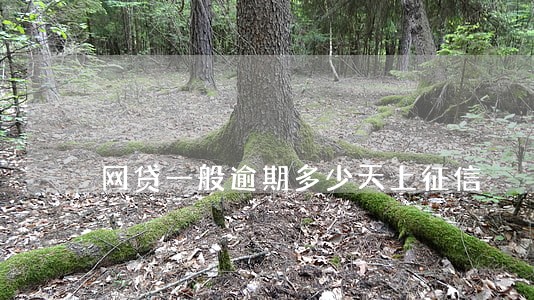 网贷一般逾期多少天上征信 网贷一般逾期多少天上征信