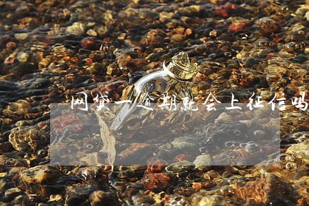 网贷一逾期就会上征信吗 网贷一逾期就会上征信吗