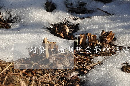 网贷一逾期就会影响征信吗 网贷一逾期就会影响征信吗