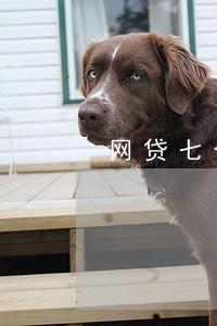 网贷七个逾期 网贷七个逾期