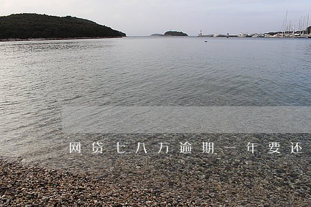 网贷七八万逾期一年要还多少 网贷七八万逾期一年要还多少