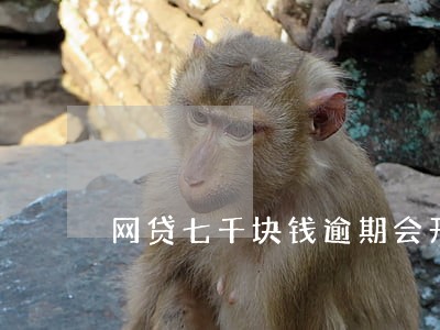 网贷七千块钱逾期会开庭审理吗 网贷七千块钱逾期会开庭审理吗