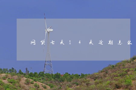 网贷七天14天逾期怎么办 网贷七天14天逾期怎么办