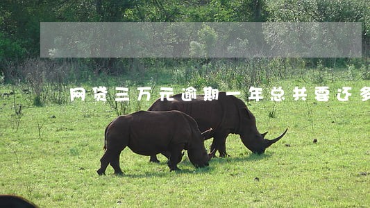 网贷三万元逾期一年总共要还多少 网贷三万元逾期一年总共要还多少