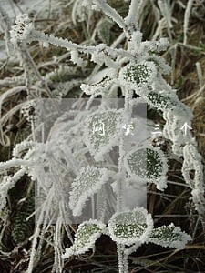 网贷三个月查询30次没有逾期 网贷三个月查询30次没有逾期