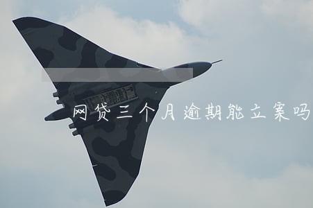 网贷三个月逾期能立案吗